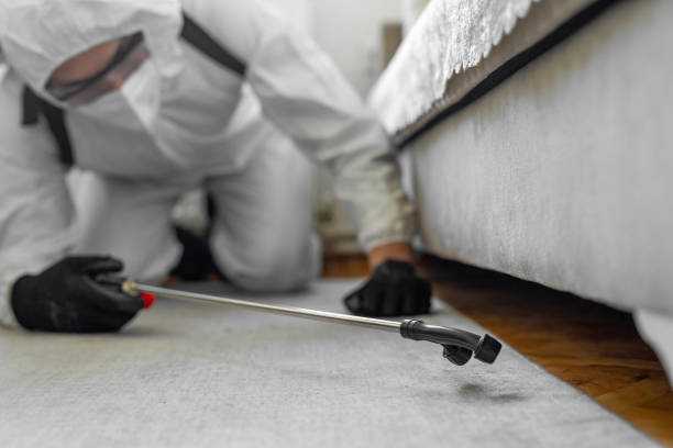 Professional Pest Control technician working in Staples, CT