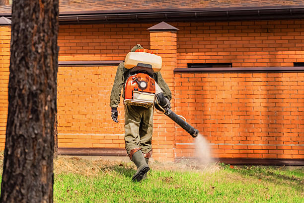 Trusted Ant Control service in Staples, CT - Nex Pest Control